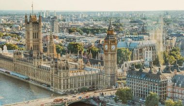 pexels-dominikagregus-672532 (1)